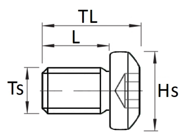 UM Torx screw w/cylinder head