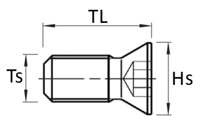 UM Torx screw w/CS head